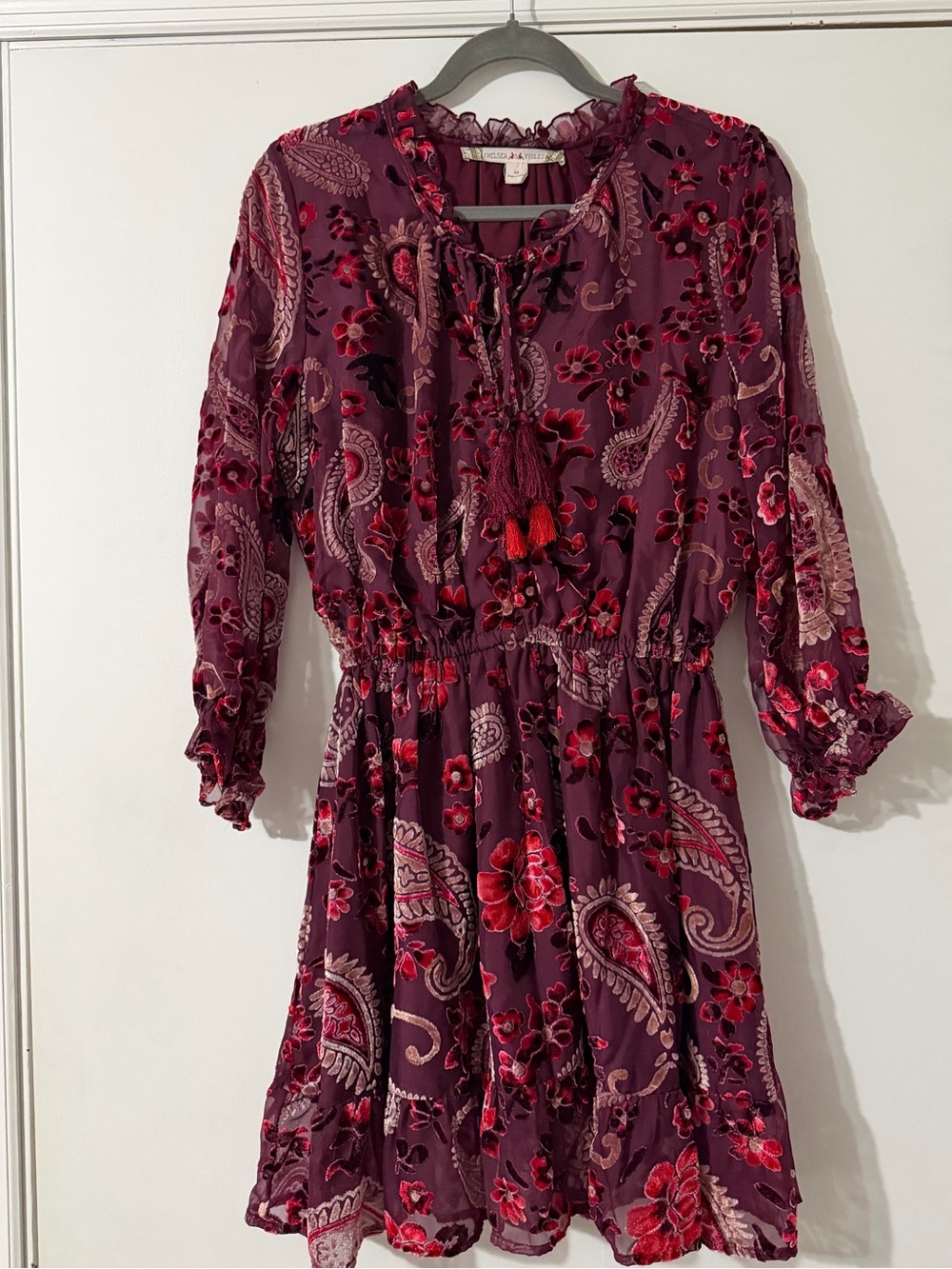 CHELSEA & VIOLET Burnout Velvet Dress Size Medium